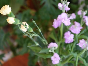 アレン プリュス(allen plus)/サロンを優しい雰囲気に