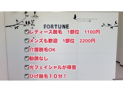 フォーチュン(fortune)の写真