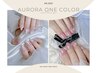 【新規】オーロラワンカラー《光沢感/ちゅるん》¥9900