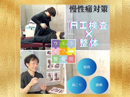 ウェライフ整骨院 大泉学園 新座の写真