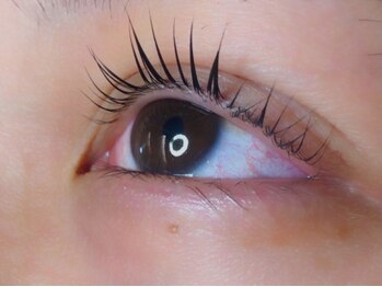 ウルカ アイラッシュ(uruka EYELASH)/ラッシュリフト