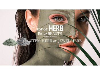 エクラフルール(Eclat Fleur)の写真/ハーブトリートメント￥11,000　紫外線や加齢によるシミにお悩みの方におすすめ。ニキビなどの肌悩みにも◎