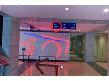 カレラ(Carrera)/３号館を目指してお進みください