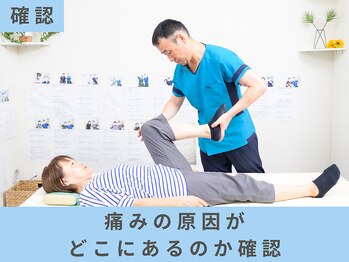 リバレイト(Liberate)/今のお身体の状態を把握