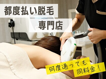 ミミ(mimi)の写真