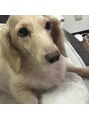 ゆめのまくら 京都烏丸店&nbsp;愛犬が可愛くて毎日癒されてます。