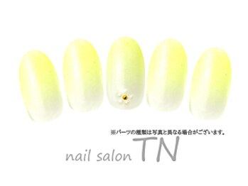 ティーエヌ TSUTAYA八戸ニュータウン店/4月☆定額3900円コース