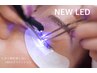 【再来】最新LEDエクステつけ放題（当店オフ無料）