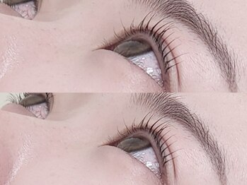 リノ(Lino)/まつ毛パーマ