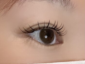 フリー#240(Free#240)/フラットラッシュ120本