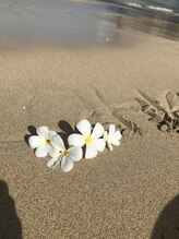 ハワイアンフォレストSpa 草加店&nbsp;原 
