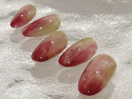 スタンダード定額