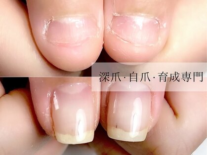 ツバキ(Tsubaki)の写真