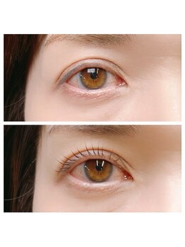 プリュネル(prunelle)/まつ毛パーマ