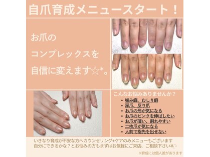 リンダ 西新店(LINDA)の写真