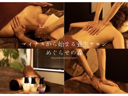 めぐらせの森の写真