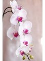 サロン オルキデ(Salon Orchidee)/岩浅純子