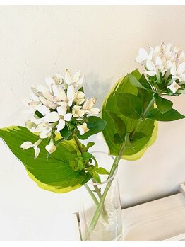 リアン ラッシュリフト(Lien LASHLIFT)/初夏のお花