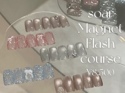 ソアー(soar)の写真