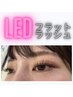 《LED》フラットラッシュ100本◆¥6.900