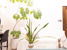 シャルール(chaleur)