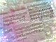 プリティアーホリック(Prettier Holic)の写真/600種類以上のパーツをご用意！こだわり派のあなたも納得のボリュームで理想の指先を叶えます