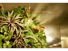 バリマグマストーンヨガ キューピーネイルアンドアイラッシュ Earth店/マイナスイオンスチーム♪