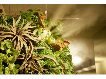 バリマグマストーンヨガ キューピーネイルアンドアイラッシュ Earth店/マイナスイオンスチーム♪