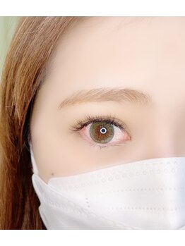 ルピナス(Lupinus)/LEDボリュームラッシュ500本