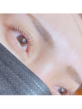 ノーヴォバイショールーム(novo by showroom)/ラッシュリフトのクーポン登場!