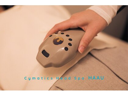 ハーウ(HAAU)の写真