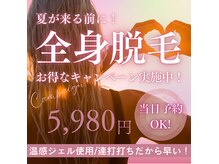 ピービューティ(P-Beauty)