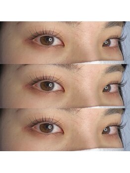 ジョリー(Jolie)/自まつげ勝負