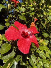 フラップ(.Flap) ご挨拶