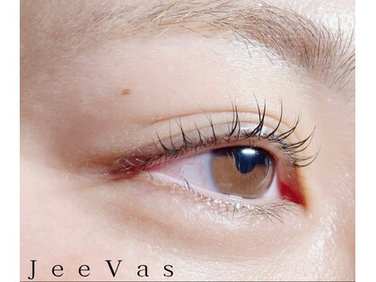 ジーバス(JeeVas)の写真