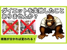 ダイエット研究所/ダイエット研究所２