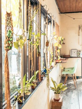 クラウドナイン(Cloud Nine)/◆店内の癒しのインテリア