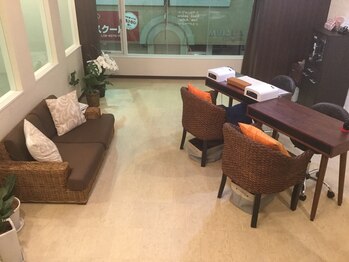 シーアスター(Sea Aster)