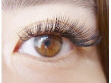 テイラー(Taylor)/ボリュームラッシュ180束　SONE