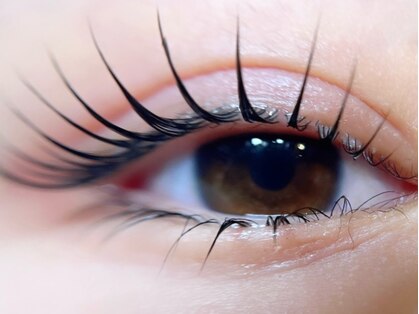 クレポワール(Clapoir)の写真