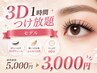 3Dモデル　1時間つけ放題　¥5000→3000
