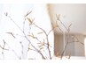 【セットでお得】束感まつげパーマ（上）+HBL （WAX+メイク込）