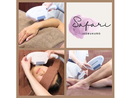 サファリ(Safari)の写真