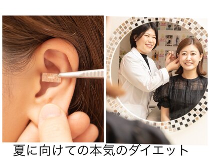 ソレイユ(Soleil)の写真