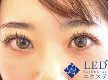 クレアトゥール 華