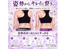 ソリデンテ 南青山本院の雰囲気（ボディラインや姿勢を整えたい方にへ）