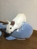 【学割U24】【一日2名様女性限定】足裏30分＋身体30分5000円→3980円