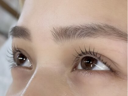 ウィンク(WINK)の写真