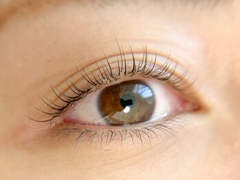 プルームミコ(Plume mico)/ラスティングカール