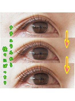 カルムトウキョウ 恵比寿本店(CALM TOKYO)/まつげパーマ#恵比寿#代官山